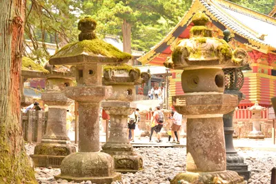 DSC_3853 (Large).JPG